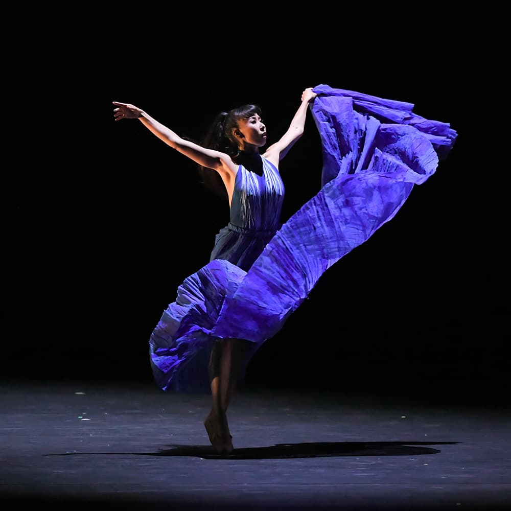 01-02_mimoza_koike_d.jpg